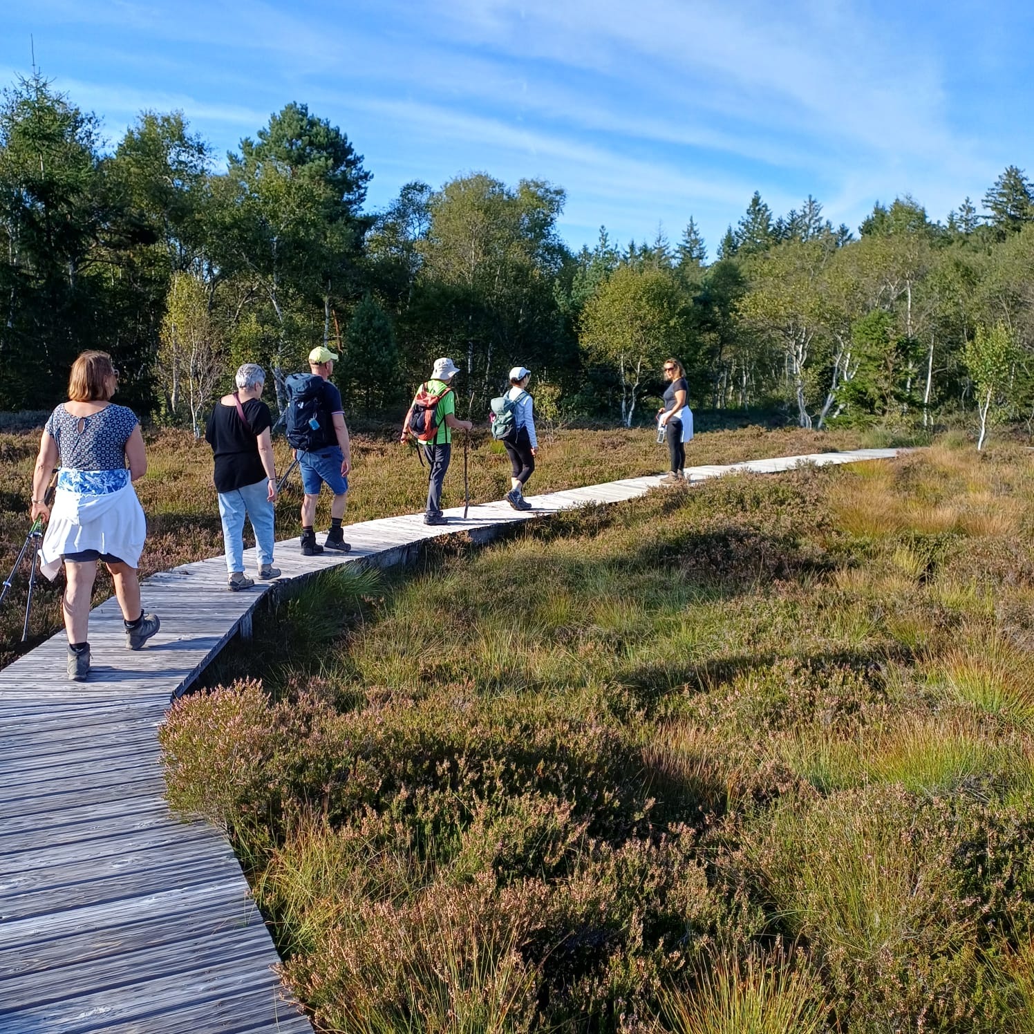 Tourbière sylvothérapie